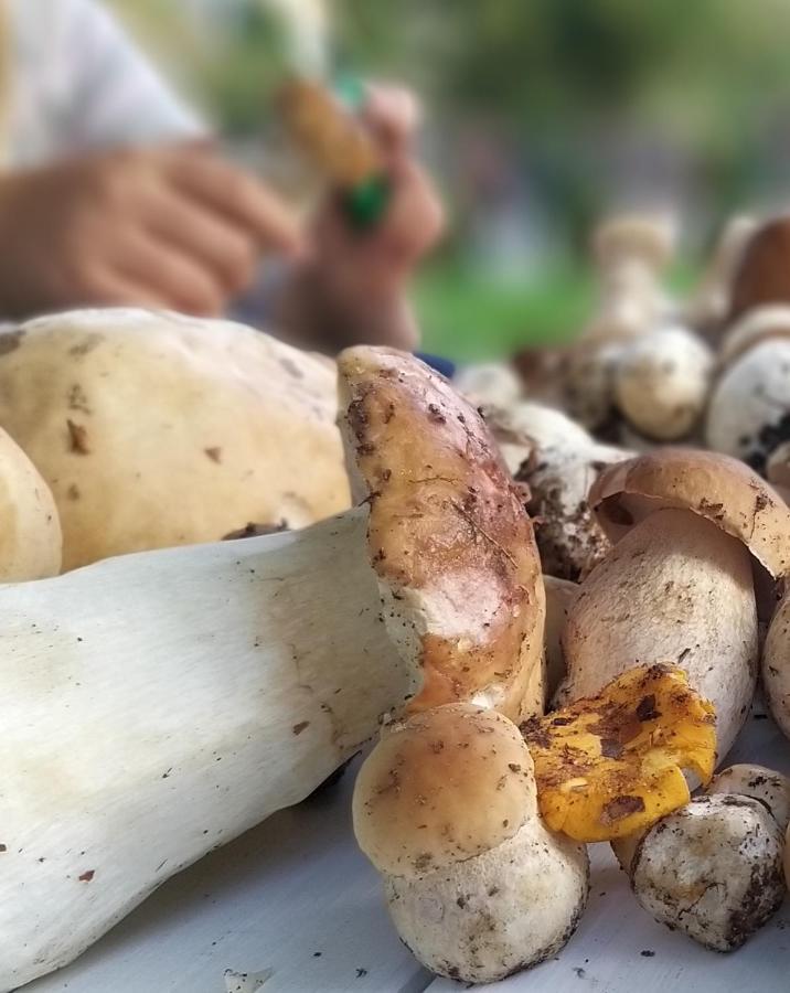 Przystan Na Zagorzu - Apartamenty Nad Jeziorem Drezdenko Dış mekan fotoğraf