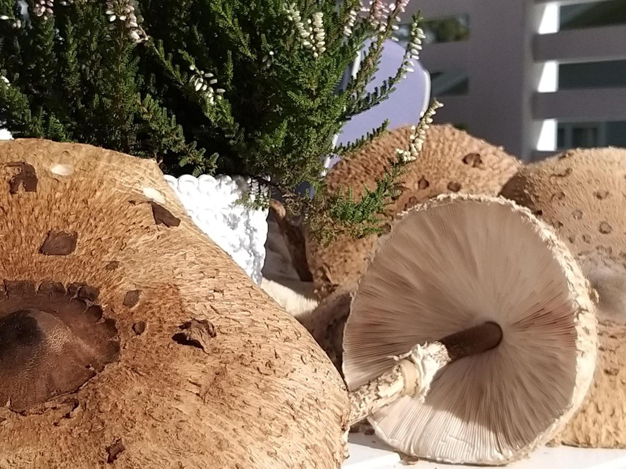 Przystan Na Zagorzu - Apartamenty Nad Jeziorem Drezdenko Dış mekan fotoğraf